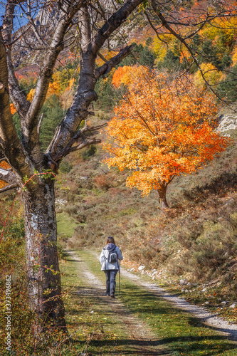 Woman Hiking in Woodland in Autumn © peresanz