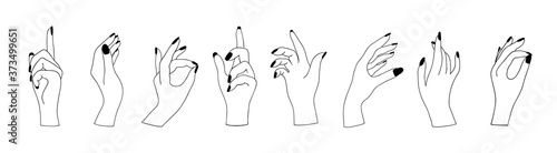 Set of woman hands in various gestures isolated on white background. Witchcraft esoteric magical mystical one line open empty holding hands collection. Vector illustration in outline style