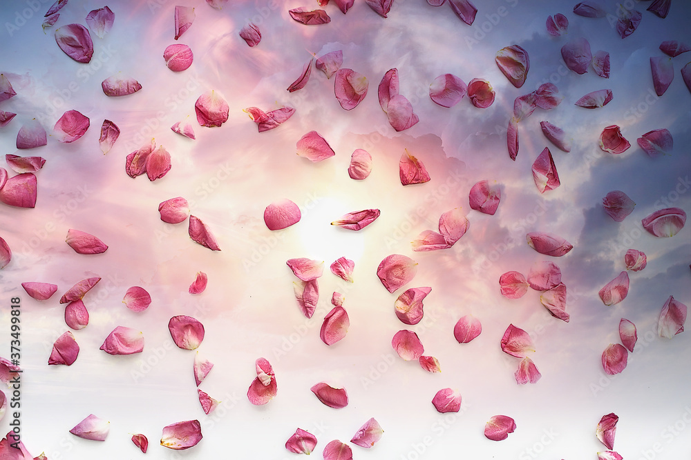 pink and red petals background / abstract aroma background, spa pink petals