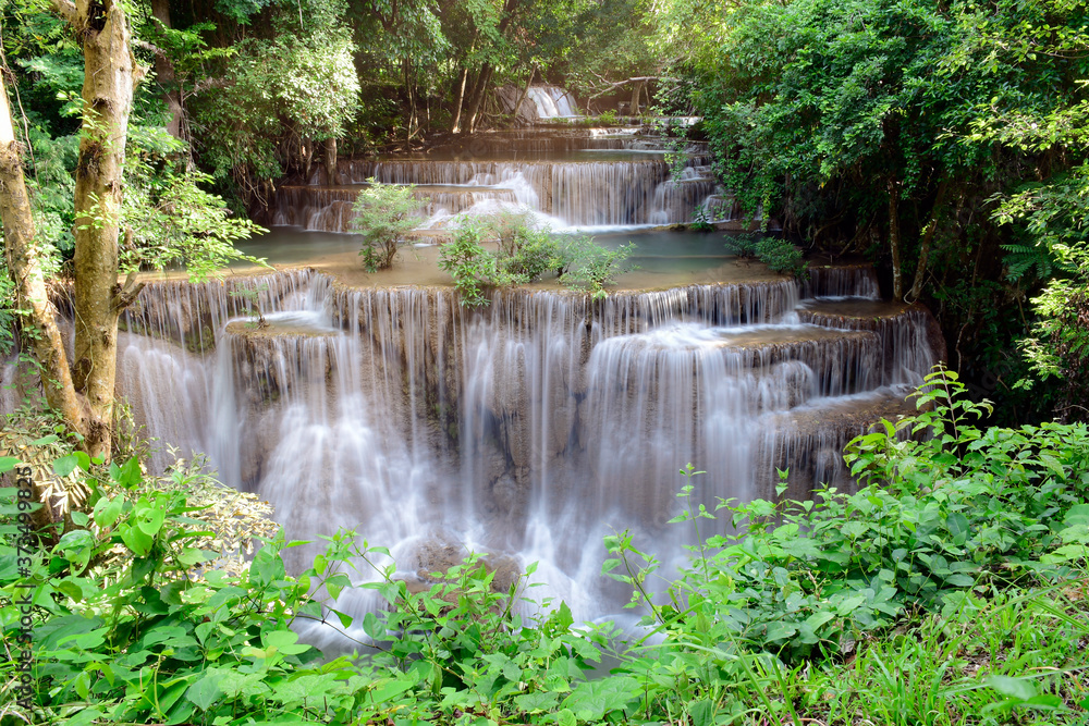 Evergreen Forest with beautuful waterfall. Evergreen Forest with beautuful waterfall.