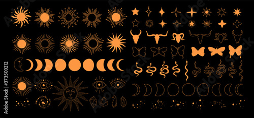 Set of alchemy esoteric mystical magic celestial icons, sun, moon phases, stars, sacred geometry isolated. Spiritual animals butterfly, snake, skull of bull occultism. Vector illustrations outline photo