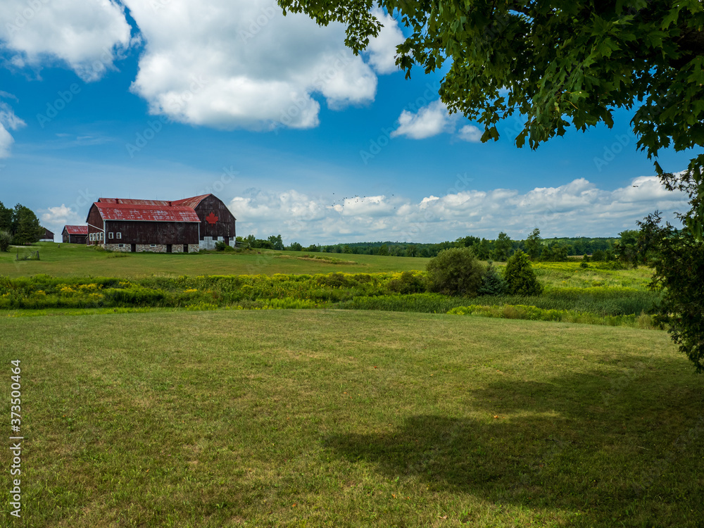 rural landscape with red barn