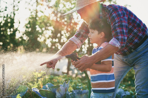  Grandfather with grandson watering vegetables in the garden