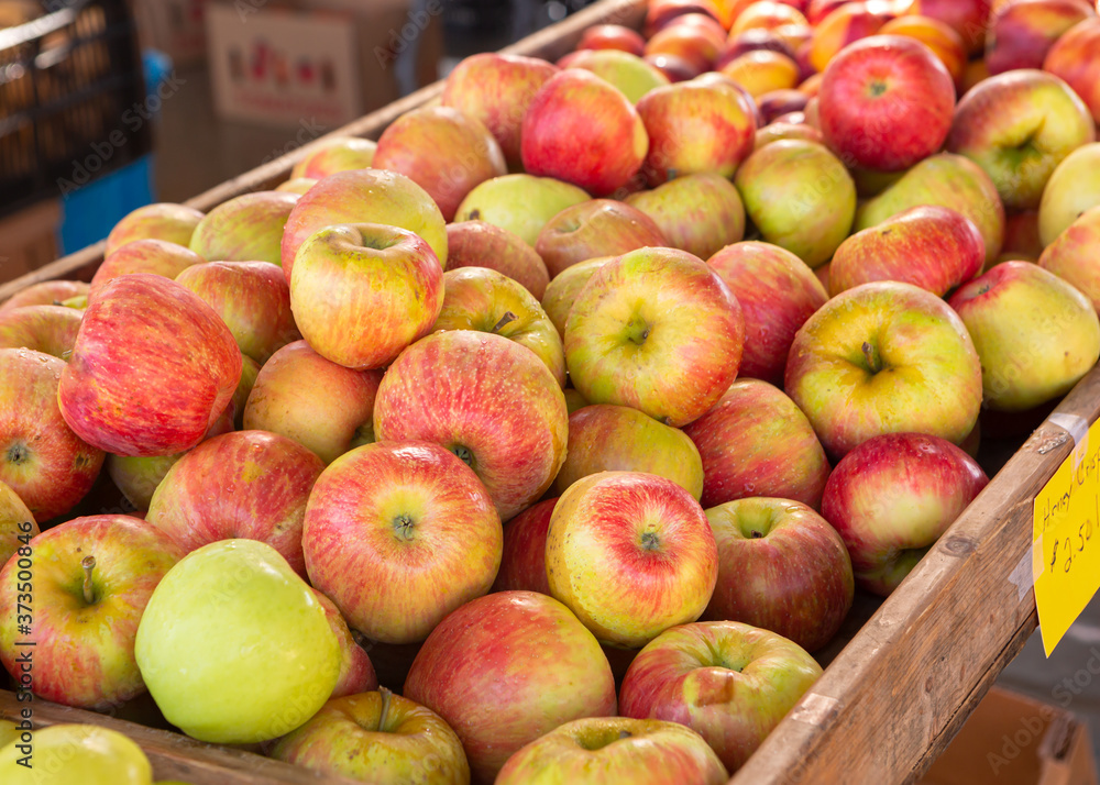 Honecrisp apples at a local outdoor market Honecrisp apples at a local outdoor market