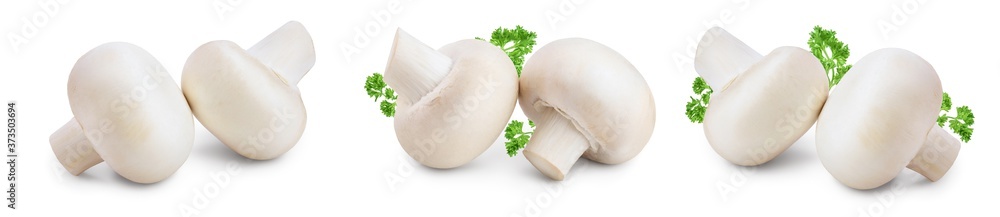 Fototapeta premium Fresh mushrooms champignon isolated on white background with clipping path and full depth of field. Set or collection