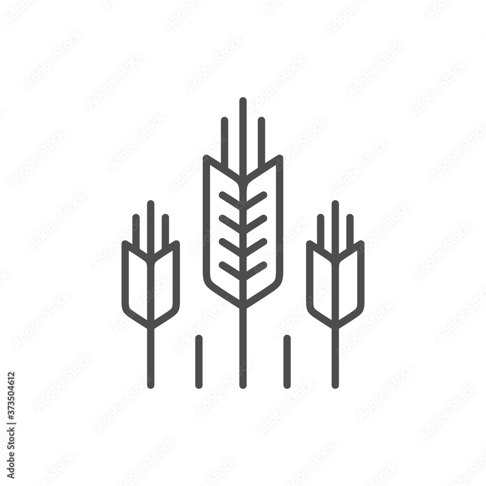 Obraz premium Wheat ears line outline icon