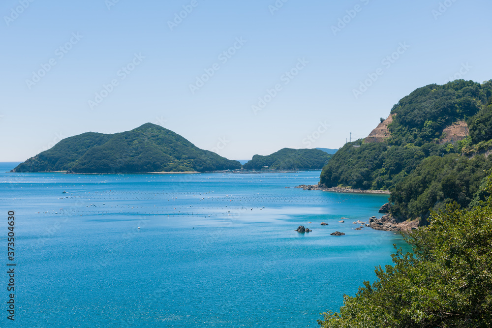 Fototapeta premium 足摺宇和海国立公園の眺望