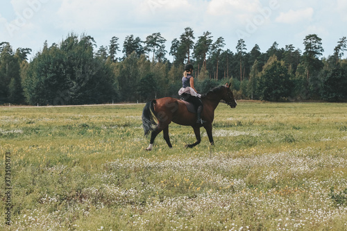 horse and rider © Vitaly