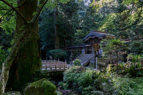 大雄山最乗寺の庭園