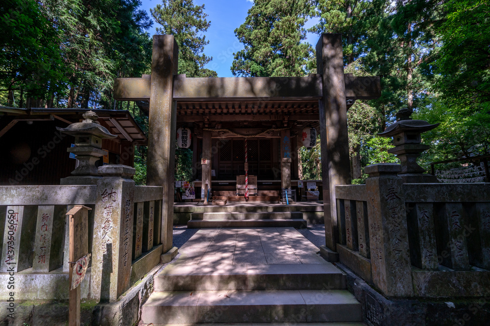 Fototapeta premium 大雄山最乗寺の奥の院