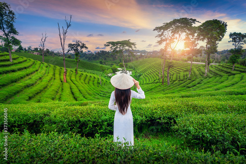 Asian woman wearing Vietnam culture traditional in tea plantation in Chiang Rai, Thailand. photo