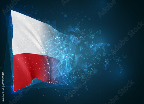 Poland   vector flag  virtual abstract 3D object from triangular polygons on a blue background