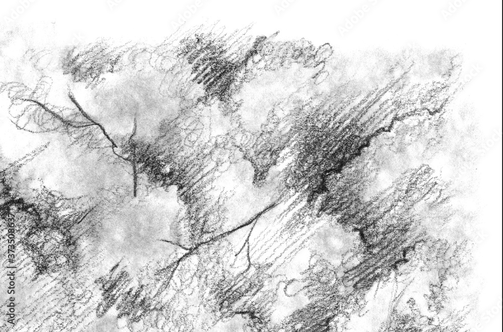 Black and white monochrome tree nature pencil sketch line art texture