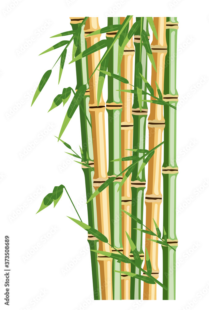 Obraz premium Bamboo trees with leaf. Color vector flat cartoon illustration