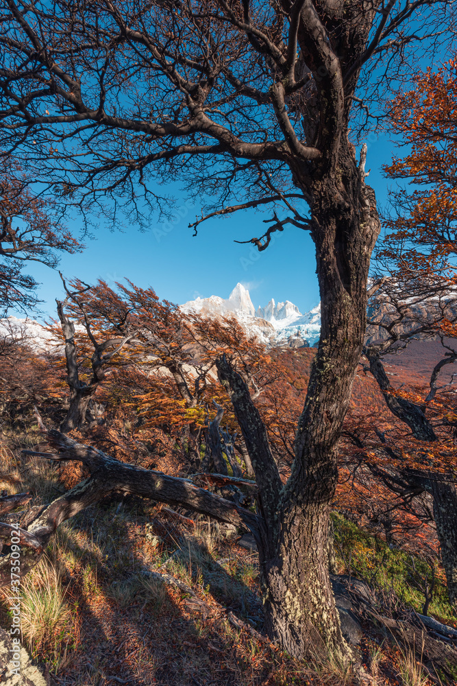 Stunning autumn scenery. Popular tourist attraction. The location is in the Glacier National Park of Argentina, South America. Stunning autumn scenery. Popular tourist attraction. The location is in the Glacier National Park of Argentina, South America.