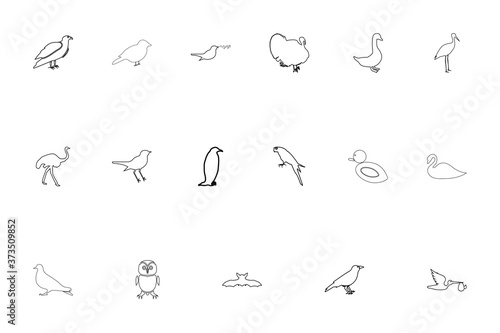 Birds black color set outline style image