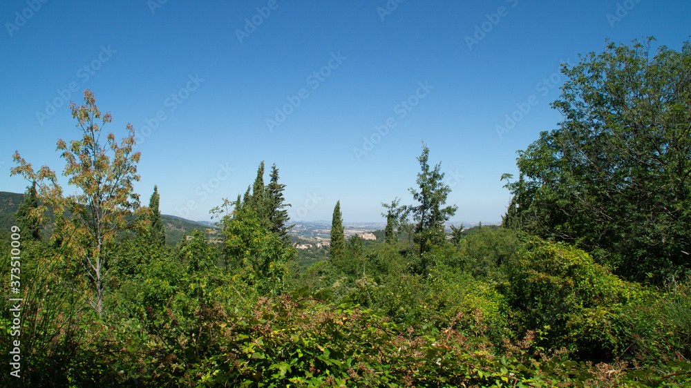 Panorama dal sentiero a Serra San Quirico Panorama dal sentiero a Serra San Quirico