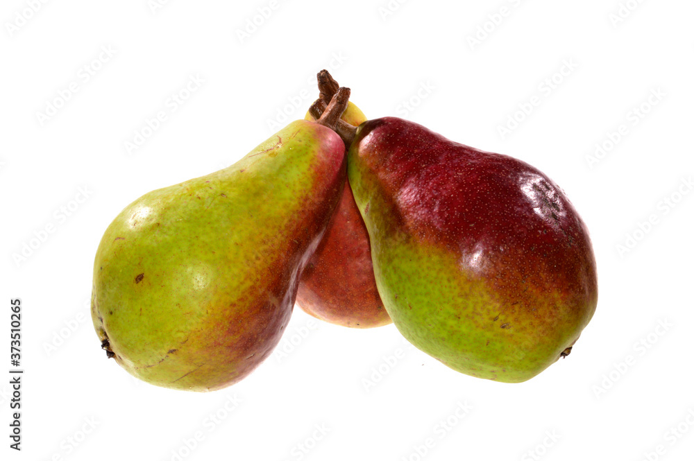 ripe pear isolated on white background ripe pear isolated on white background