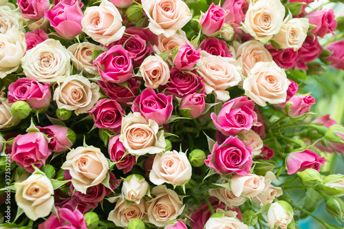 Background image of a bouquet of roses © yta