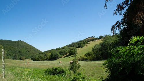 Panorama dal sentiero a Serra San Quirico
