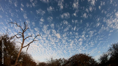 Timelapse of clouds over the Bushveld Savannah in Southern Africa. photo