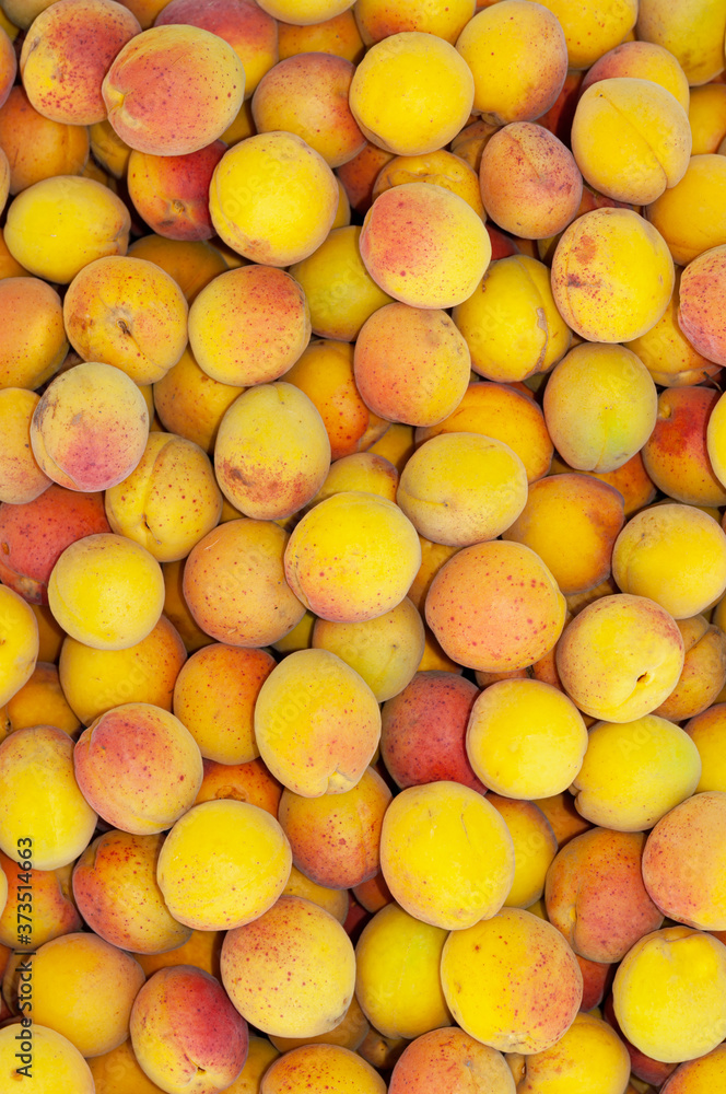 Freshly assembled ripe red-yellow apricots closeup. Full frame background.