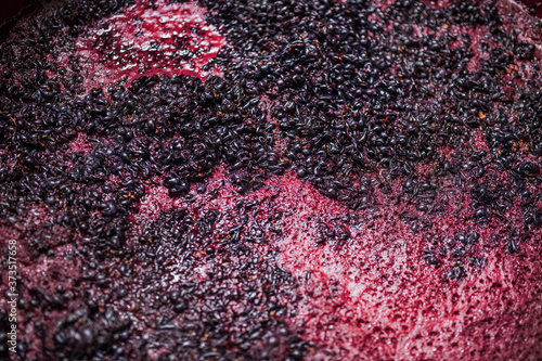 Fermentation of grape must, winemaking concept. Top view. photo
