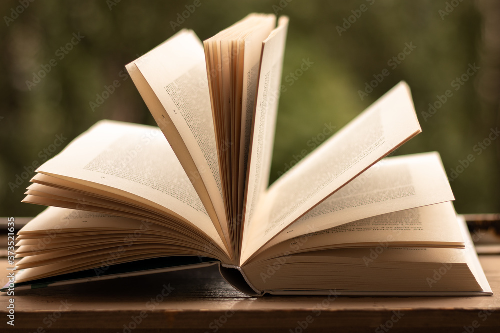 Book, rainy weather, rainy, read, reading Book, rainy weather, rainy, read, reading