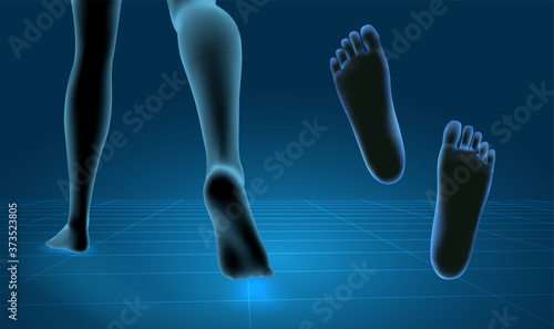 3d illustration,vector foot volume, health and shoe selection