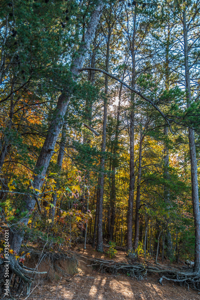 Shoreline erosion in autumn