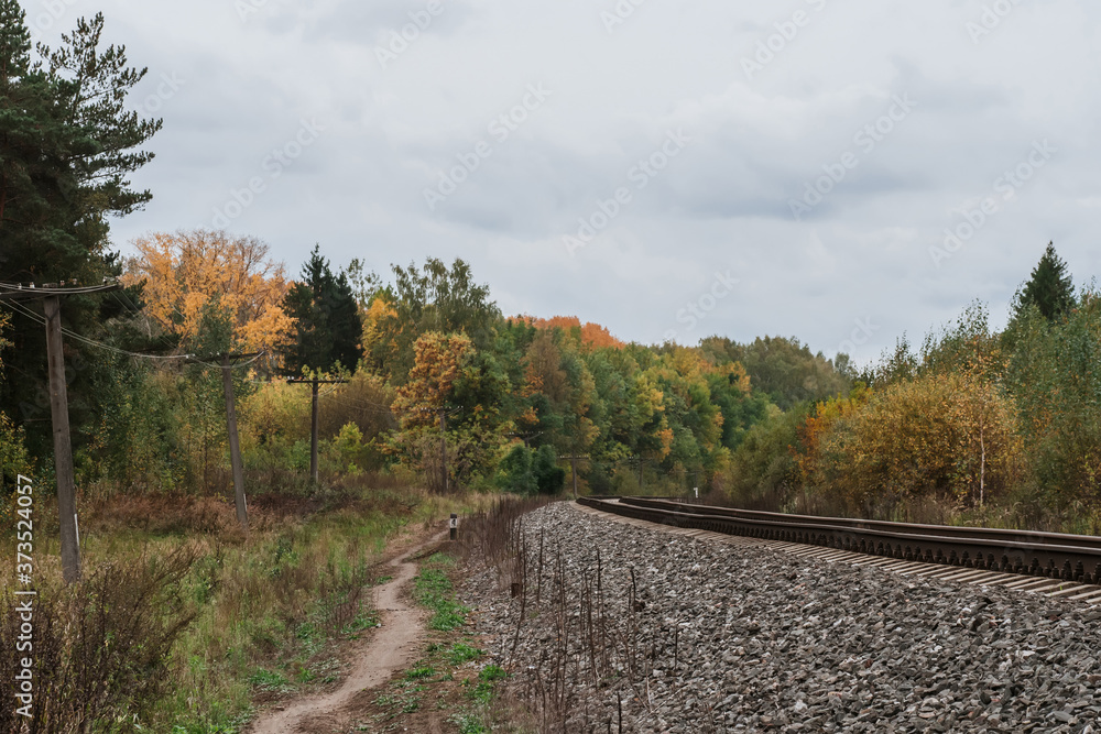 railway in the forest in autumn a cloudy day