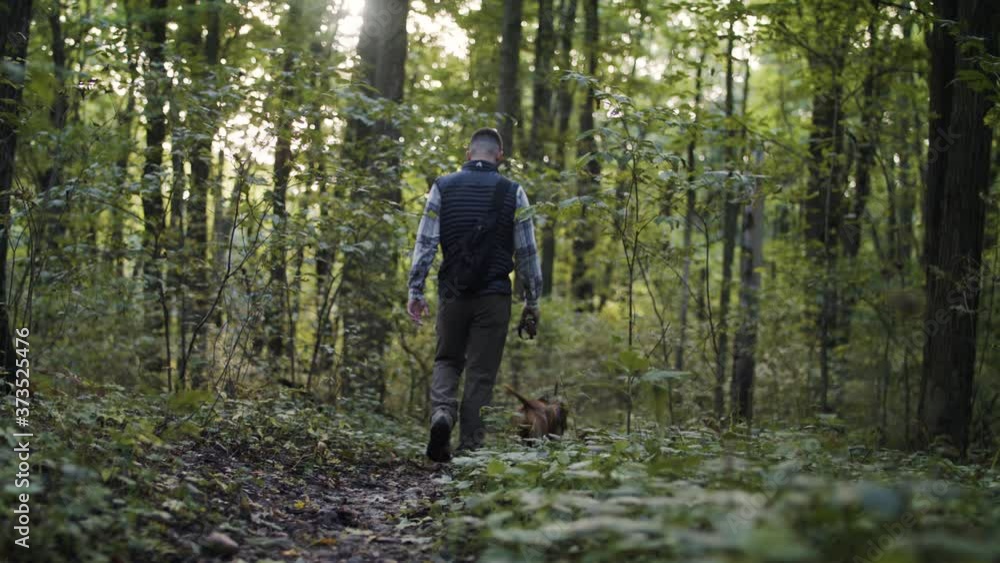 A hiker and his dog in the forest A hiker and his dog in the forest