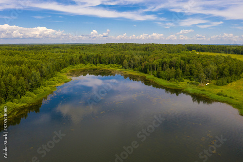 A small lake surrounded by forest on a sunny summer day.
