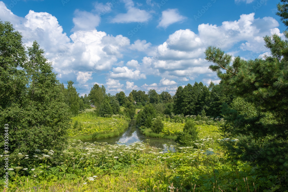 Beautiful summer landscape with a small river and a cloudy sky.