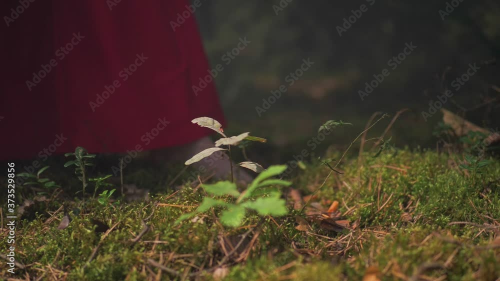 female feet walk through the mystical forest female feet walk through the mystical forest
