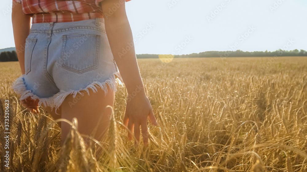 Young woman walking in sunset on a wheat field. Freedom and happiness concept. Young woman walking in sunset on a wheat field. Freedom and happiness concept.