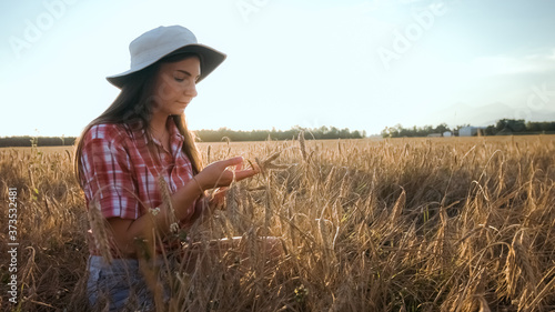 Young woman farmer in the wheat field checking grains.