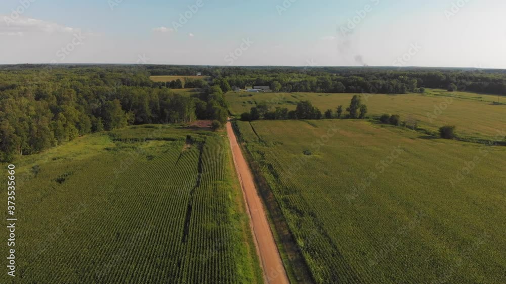 Aerial view of corn fields and a dirt road. Summer country landscape. Aerial view of corn fields and a dirt road. Summer country landscape.