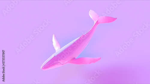 Pink Humpback Whale 3d illustration 3d render	
