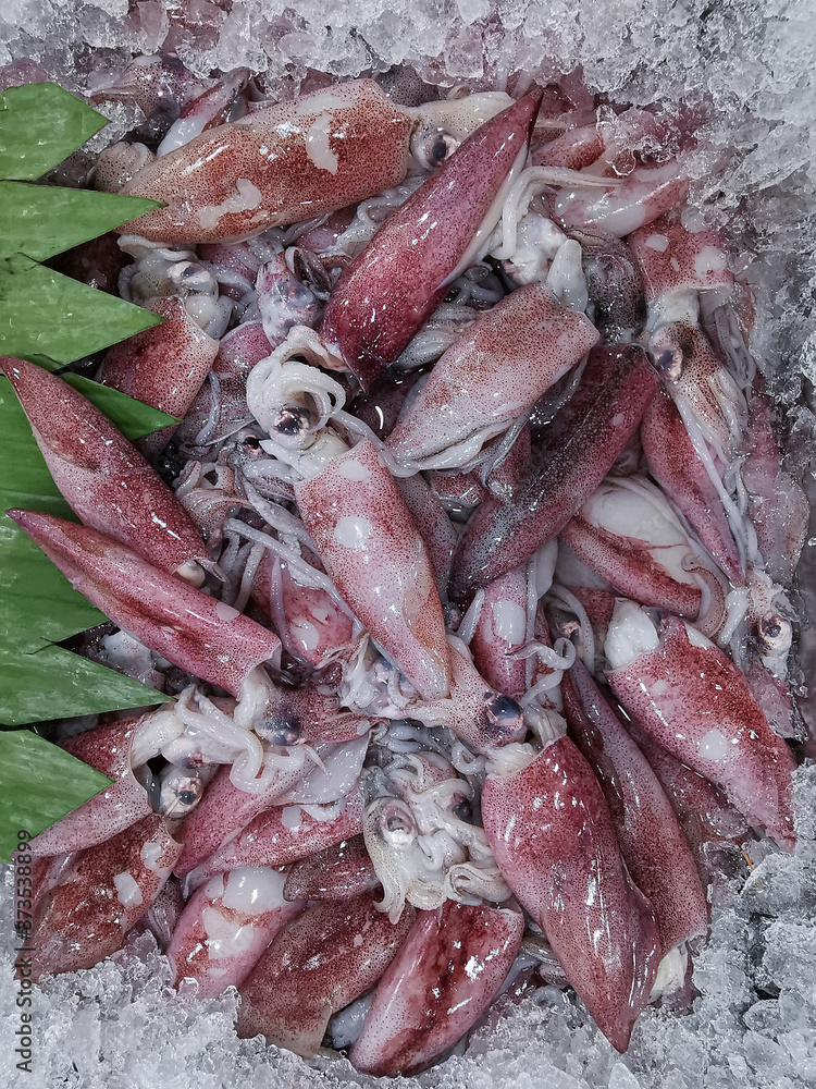 Fresh squids in a box with ice at seafood market Fresh squids in a box with ice at seafood market