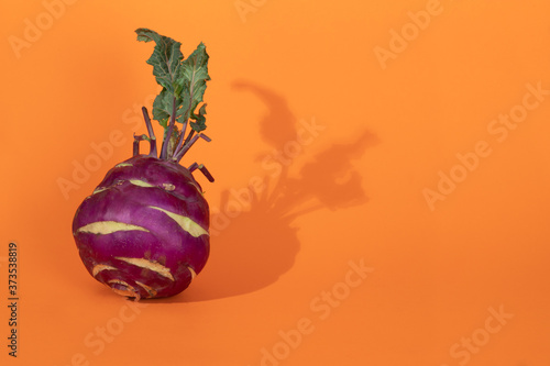 Kohlrabi cabbage with green leaves on orange autumn background.