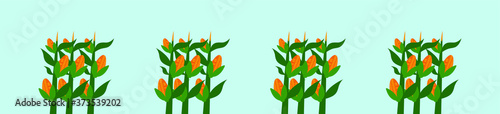 Fotografija set of corn stalk cartoon icon design template with various models
