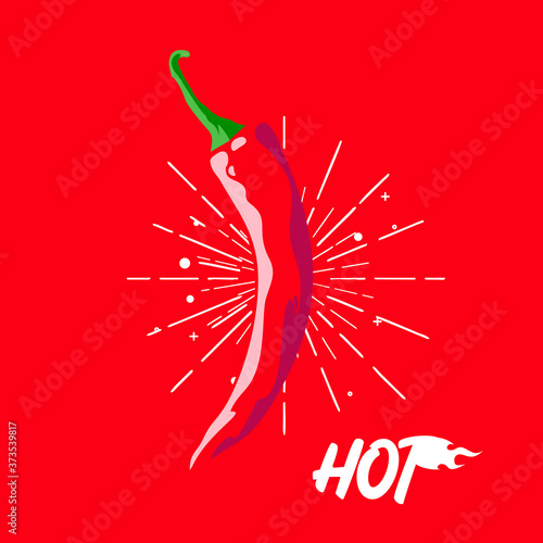 Red hot chili illustration for sauces and pickles 
