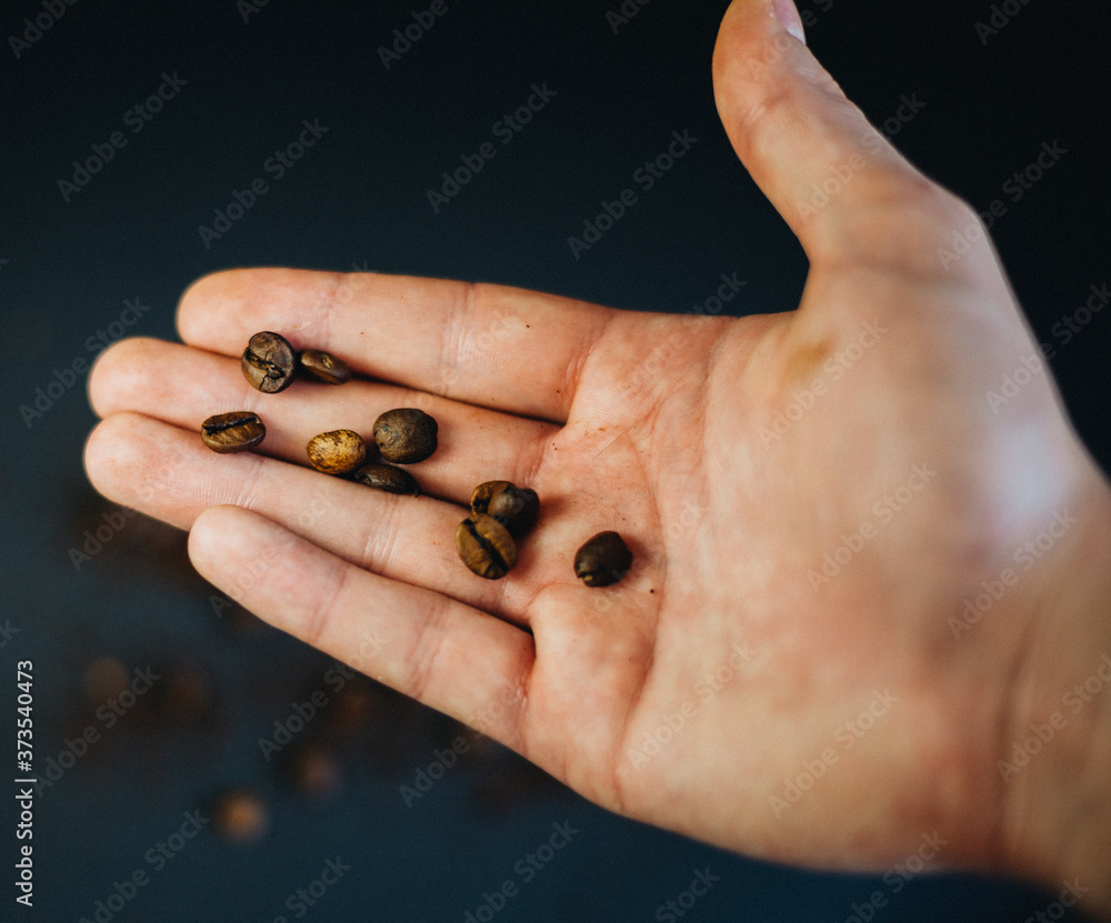 Coffee beans in heand with blured background