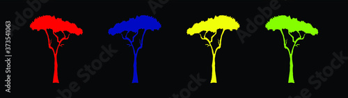 Eucalyptus camaldulensis or River Red Gum in Rainbow Sketch on Black