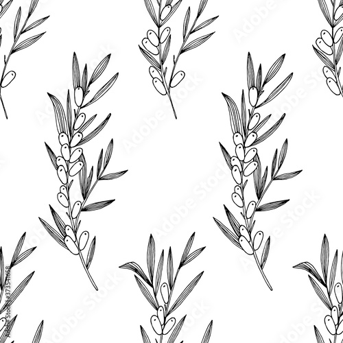 Fototapeta Naklejka Na Ścianę i Meble -  Background from stems and berries of sea buckthorn. A hand-drawn black and white image, isolated on a white background. Idea for fabric, packaging, scrapbooking, children's art.