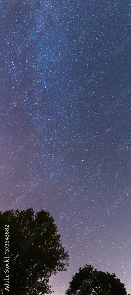 Noche de cielo estrellado con la vía láctea en el medio