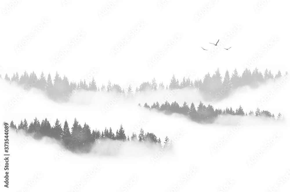 Plakat Paisaje con niebla, bosque, árboles y pájaros. Ilustración. Blanco y negro. Fondo para escribir texto.