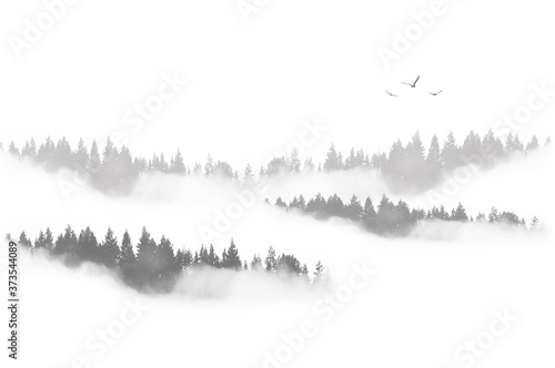 Paisaje con niebla, bosque, árboles y pájaros. Ilustración. Blanco y negro. Fondo para escribir texto.
