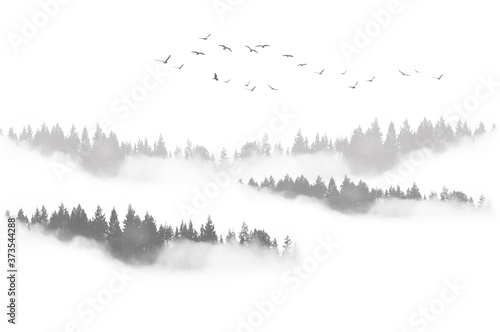 Paisaje con niebla, bosque, árboles y aves migratorias. Ilustración. Blanco y negro. Fondo para escribir texto.